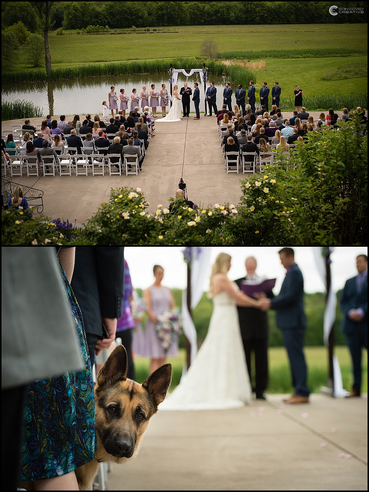 Virginia wedding photography