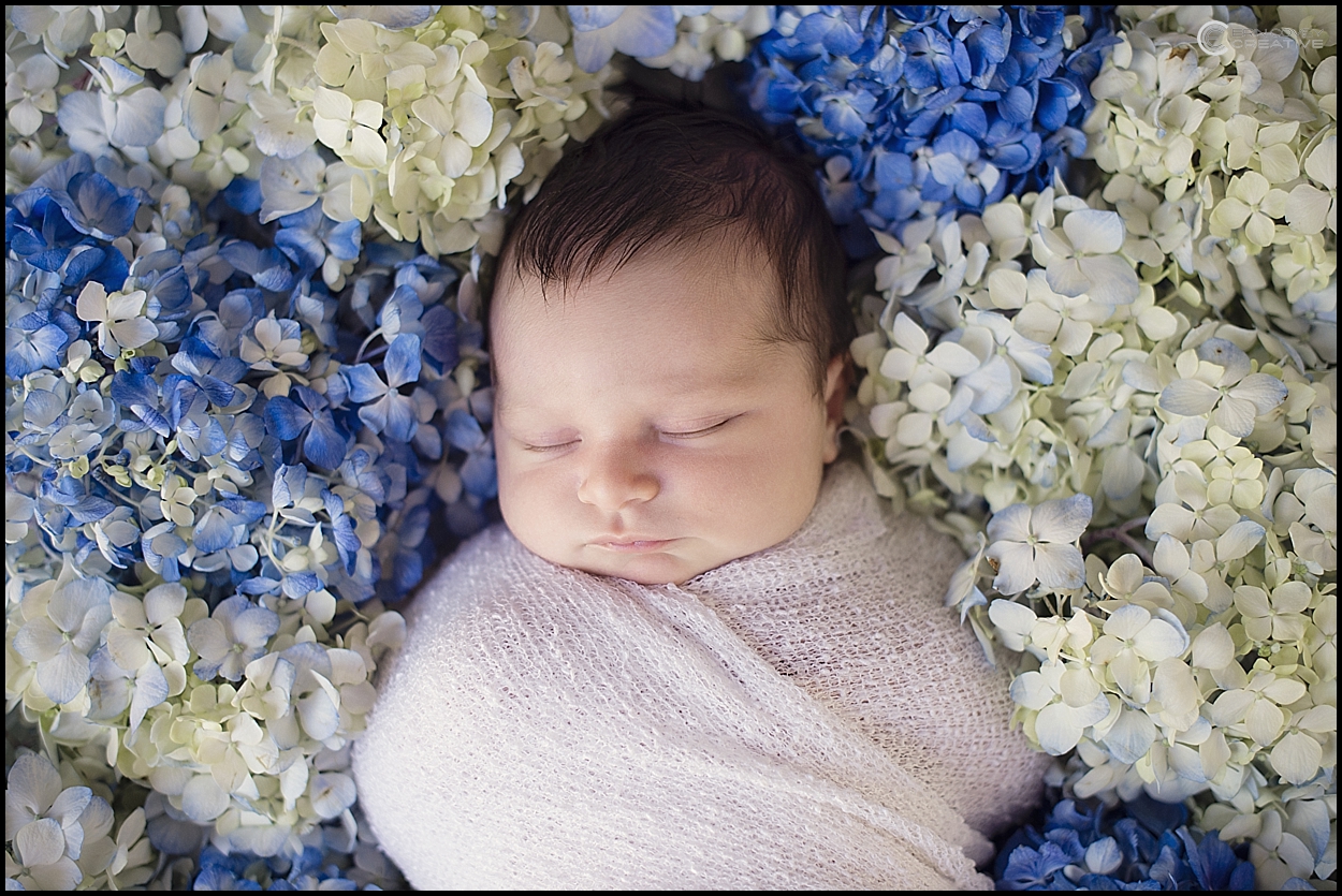 Ava newborn blog 3