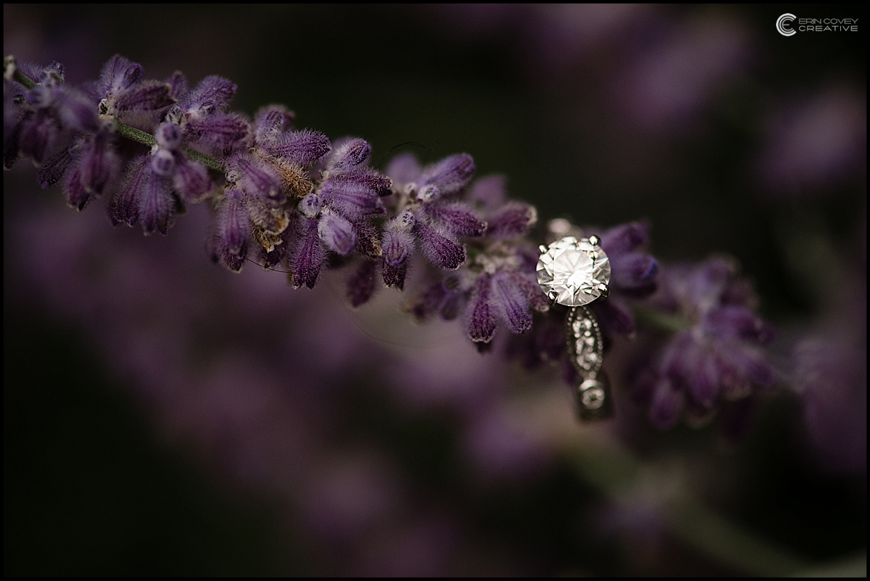 Hudson Valley engagement photography