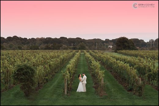 Saltwater Farm Vineyards Wedding, Grape Vine Photos, Stonington, CT